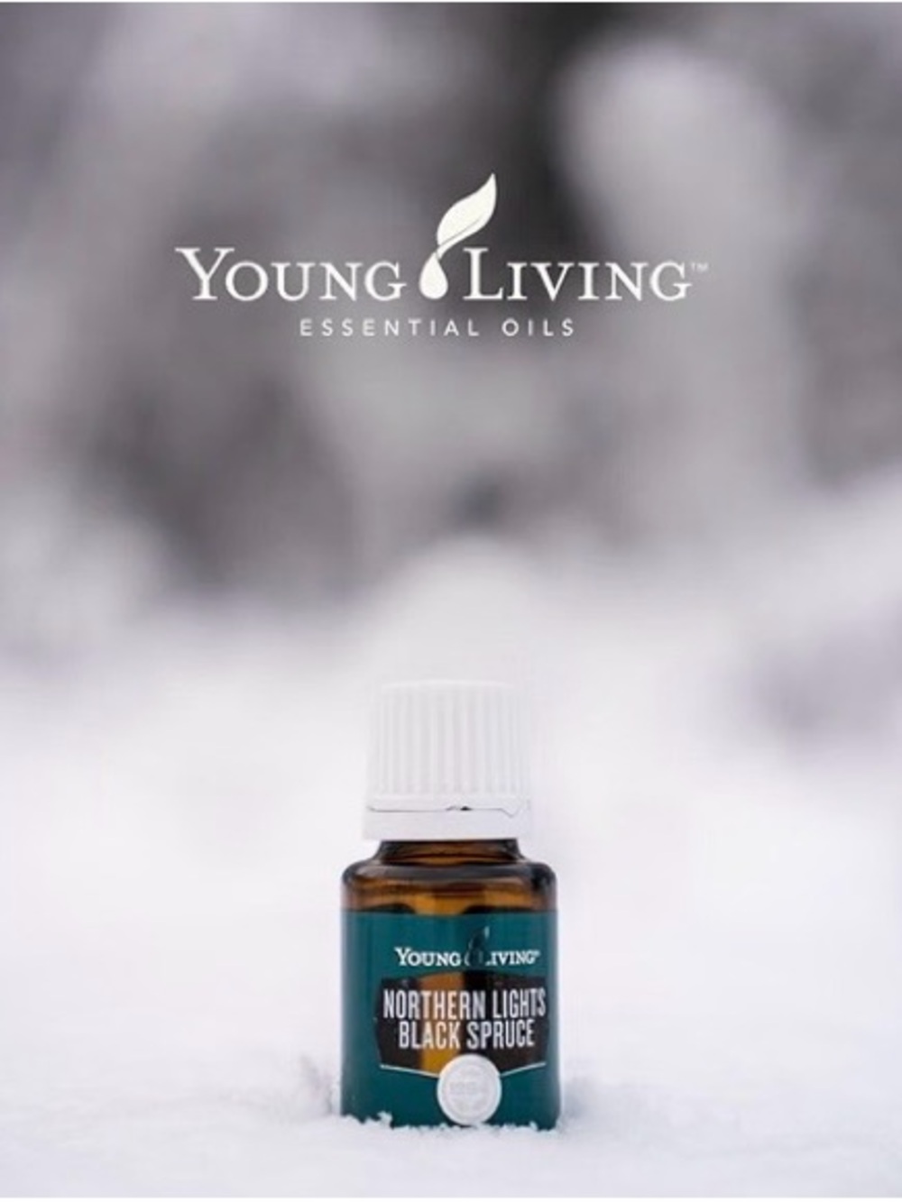 Young Living Northern Lights Black Spruce Essential Oil 5 ml Bottle Brand New - Picture 7 of 11